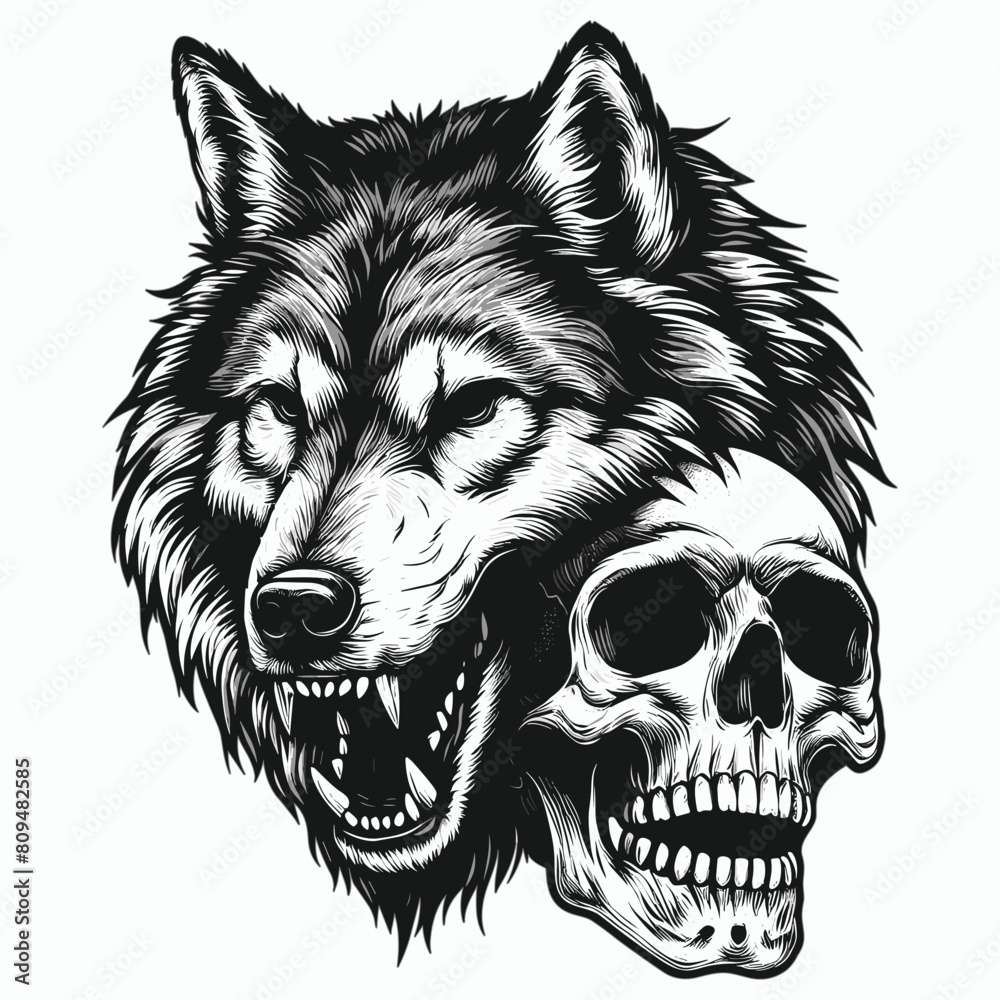Fototapeta premium wolf with skull vector illustration