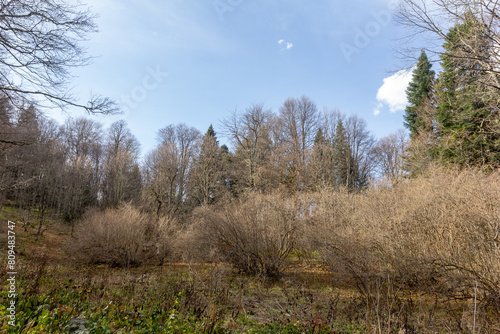 early autumn, nature walks, panoramic views, hiking trails and mountain holidays.
