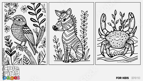 A set of six cat coloring pages for kids. The pages feature different types of animals and are designed for children to color. Kindle. POD.