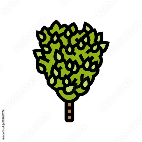 whisk sauna color icon vector. whisk sauna sign. isolated symbol illustration