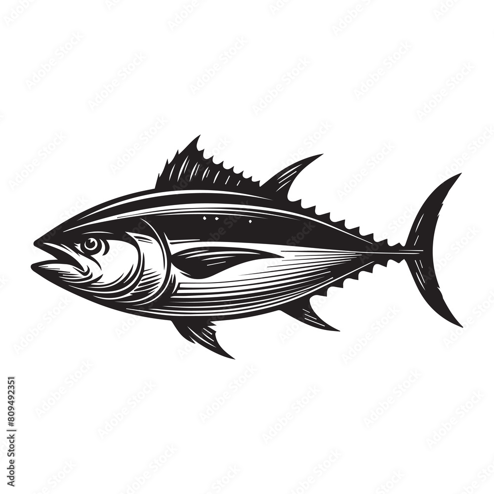 Tuna Fish Clip art. Unique and Fresh Tuna fish Vector.