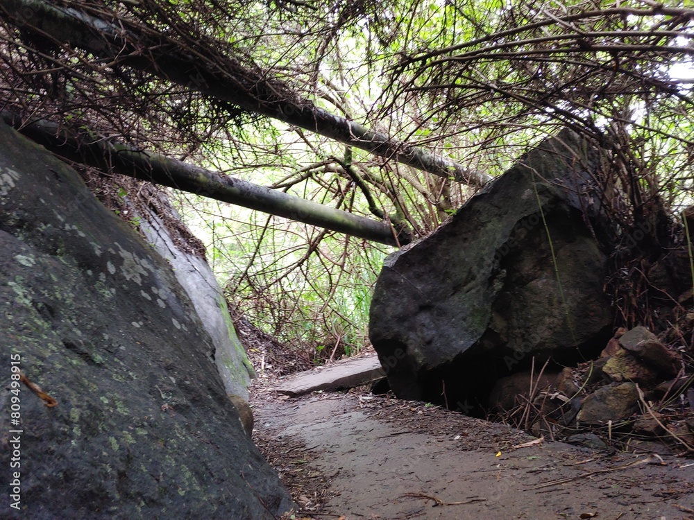 Obraz premium old stone house