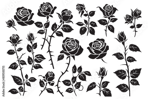 Rose silhouettes vector illustration. Black buds and stems of roses stencils isolated on white background