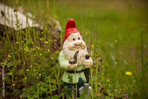 Gnomeville garden Gnomes