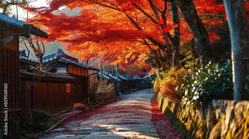 Falling Leaves, Rising Spirits Exploring Autumn in Japan. photo