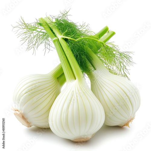 Image of a bunch of white fennel bulbs with green stalks and feathery leaves.