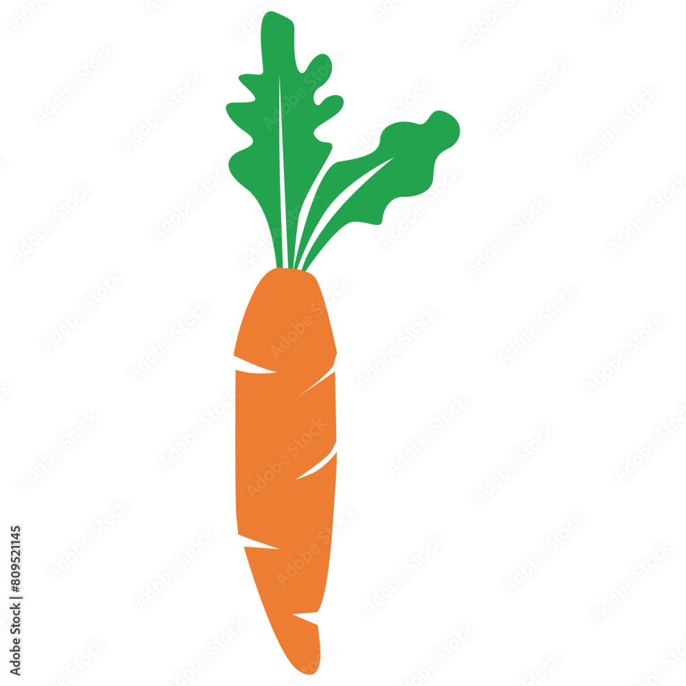 carrot with leaves carrot with leaves