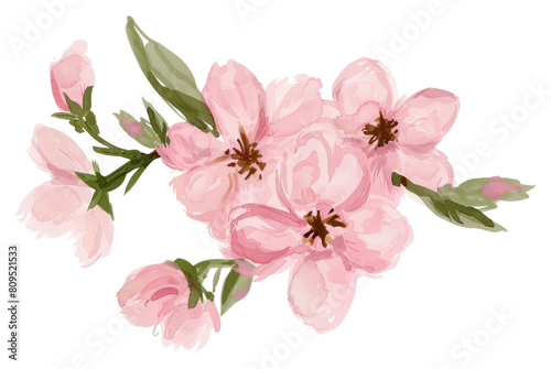 PNG Cherry blossom frame flower plant white background.