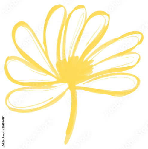 PNG Wildflower accessories asteraceae accessory. photo