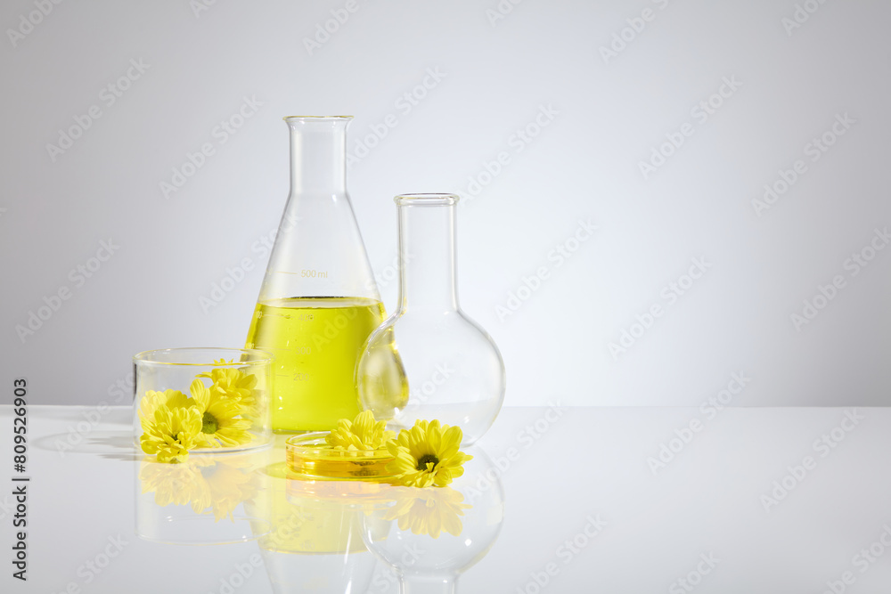 A group of lab item including erlenmeyer flask with yellow liquid, boiling flask, petri dish and glass holding cup, decorated by some calendula, over white background. Copy space, front view A group of lab item including erlenmeyer flask with yellow liquid, boiling flask, petri dish and glass holding cup, decorated by some calendula, over white background. Copy space, front view