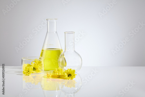 A group of lab item including erlenmeyer flask with yellow liquid, boiling flask, petri dish and glass holding cup, decorated by some calendula, over white background. Copy space, front view