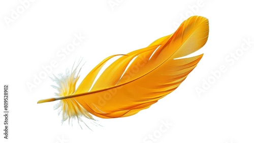 yellow feather on a isolated or transparent background.