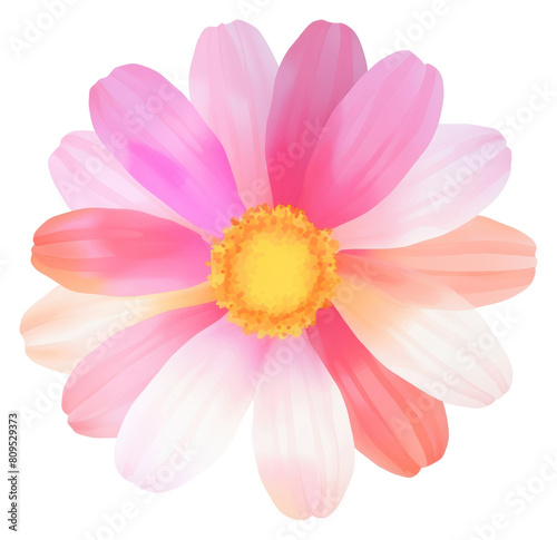 PNG Daisy flower dahlia petal plant. AI generated Image by rawpixel.