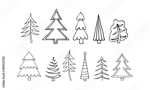 Black and white ornament with coniferous trees. Hand-drawn vector illustration for wallpaper, cards. Doodle style.