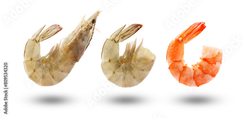 Flying shrimps collection with shadow isolated on white background.