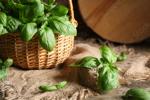 Wicker basket with fresh green basil leaves on wooden background