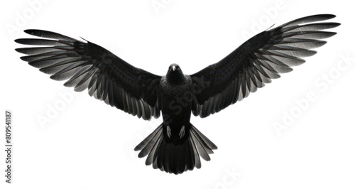 PNG Bird flying in the sky animal black white. AI generated Image by rawpixel.