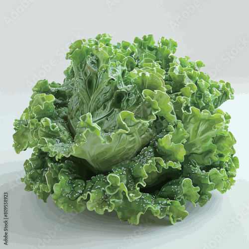 Lettuce leaves isolated on white background, clipping path included.