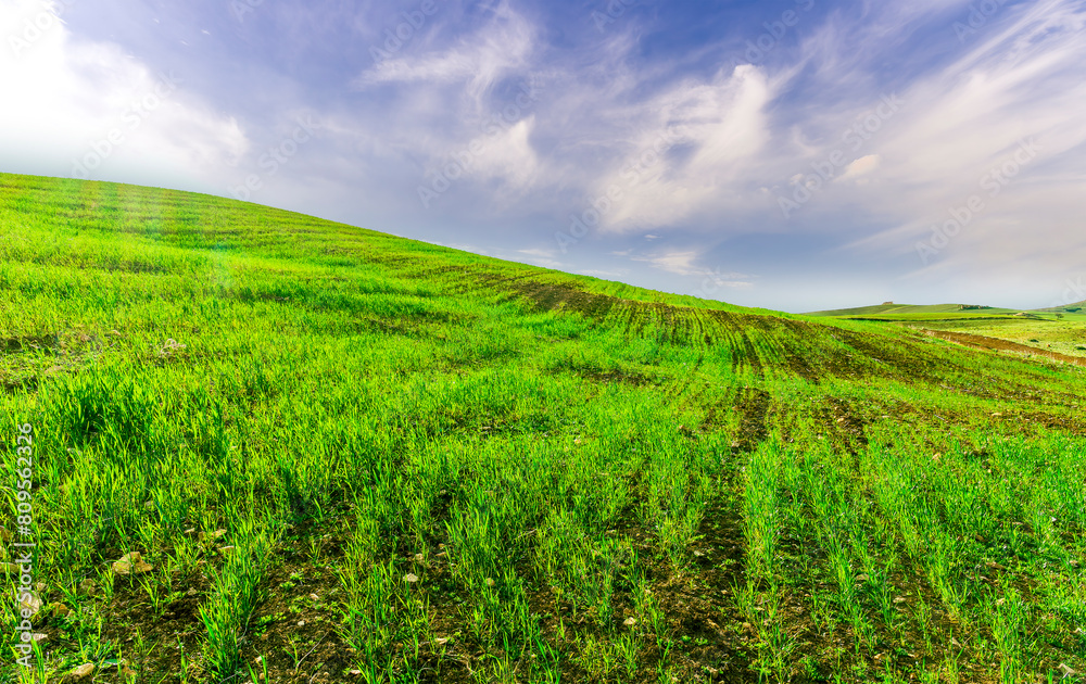scenic view of beautiful rural landscape with green hills and fields with young grass and amazing cloudy sky on background scenic view of beautiful rural landscape with green hills and fields with young grass and amazing cloudy sky on background