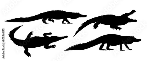 Set silhouettes of large crocodiles. 