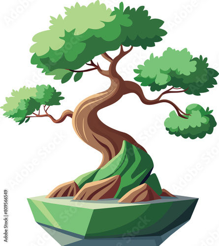 ficus bonsai tree vector illustration, Ficus retusa bonsai, Ara jejawi photo