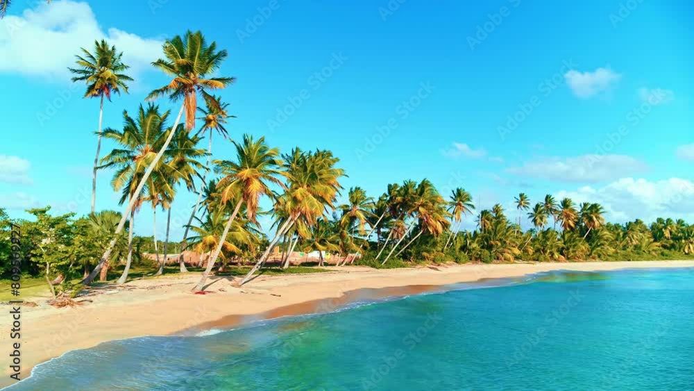 Caribbean tropical beach with yellow sand, palm trees and turquoise ocean. Background of blue sky with clouds on a sunny summer day. The perfect landscape backdrop for a relaxing Hawaii getaway. Caribbean tropical beach with yellow sand, palm trees and turquoise ocean. Background of blue sky with clouds on a sunny summer day. The perfect landscape backdrop for a relaxing Hawaii getaway.