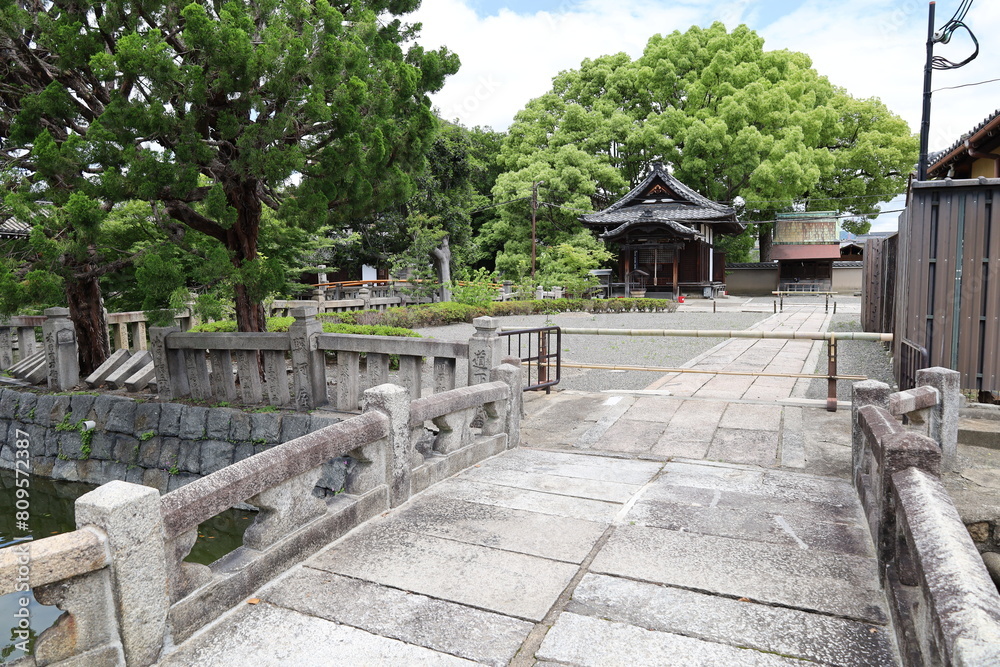 Obraz premium A Japanese temple in Kyoto : a scene of the precincts of To-ji Temple