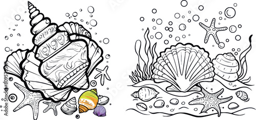 Training coloring for kids with sea shell and sample illustration