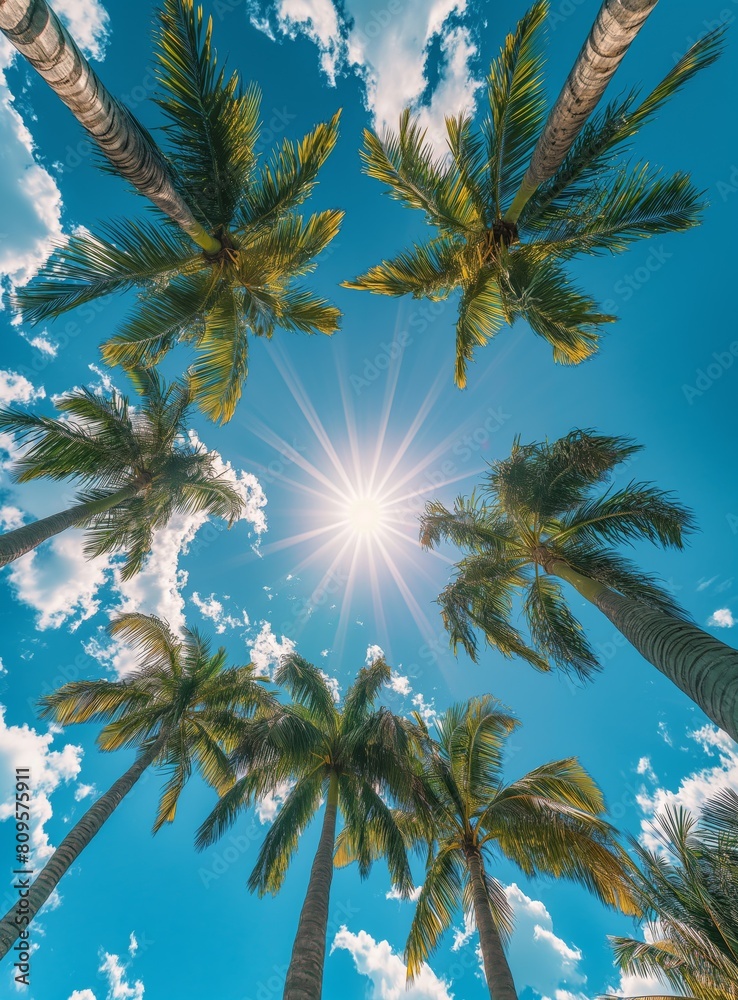 Fototapeta premium Tropical Sky Photography with Palm Trees