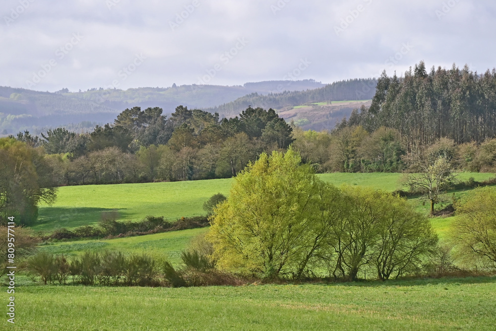 Obraz premium Colline, prati e vallate del cammino Primitivo di Santiago di Compostela - Guntín. Lugo. Galicia - Spagna