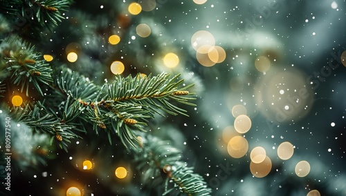 Snowy Pine Tree Branches Closeup © OneStockShop