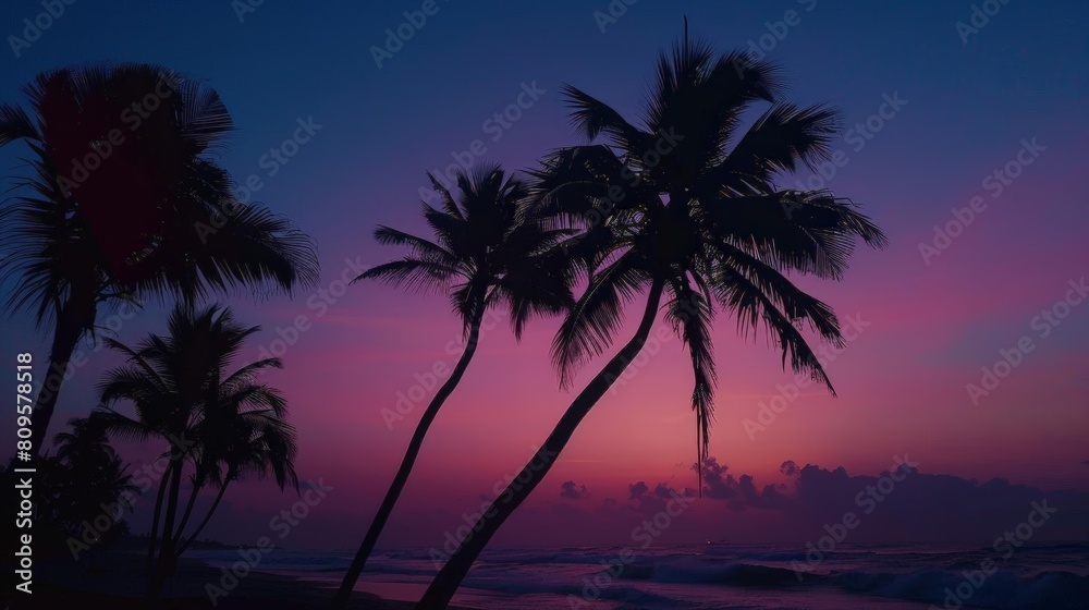 sunset silhouette of palm trees on a tropical beach, with a blue sky in the background