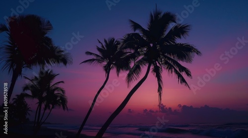 sunset silhouette of palm trees on a tropical beach  with a blue sky in the background