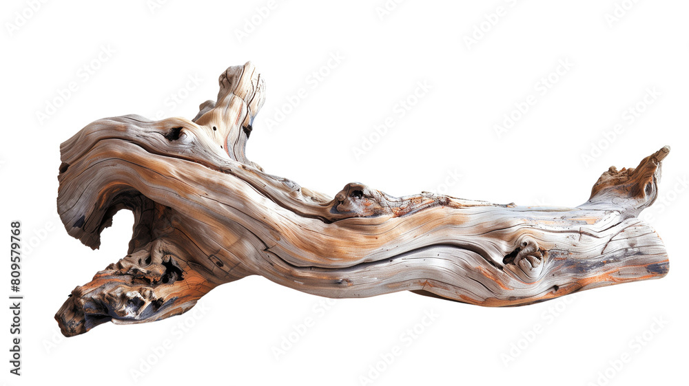 The image shows a piece of driftwood.transparent background.