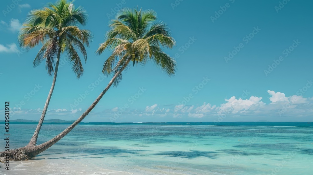 tropical island paradise clear blue skies and white clouds complement the lush palm trees on the beach