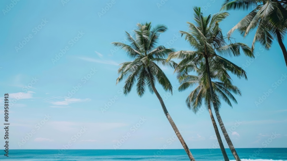 tropical island paradise with tall palm trees under a clear blue sky and white clouds