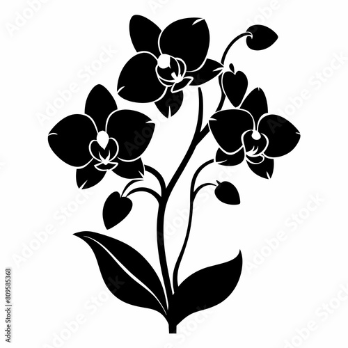 Orchid flowers with branch Vector silhouette illustration isolated on a white background.
