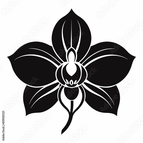 Orchid flowers with branch Vector silhouette illustration isolated on a white background.

