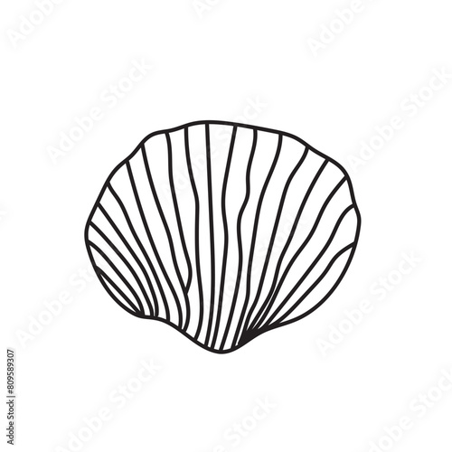 sea, vector, shell, ocean, outline, underwater, shellfish, water, design, illustration, isolated, marine, seashell, beach, seafood, scallop, aquatic, animal, nature, line, summer, graphic, drawing