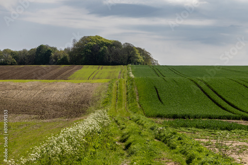 Agricultural fields in rural Sussex near Falmer, on a sunny spring day