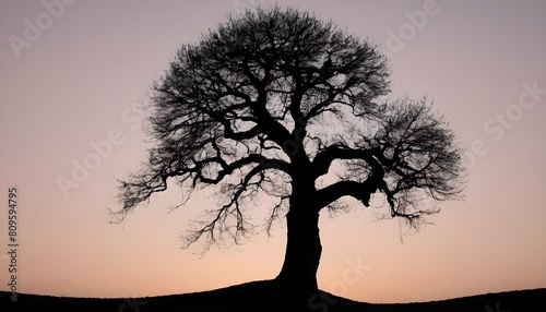 A tree silhouette with a path winding around its b upscaled 14