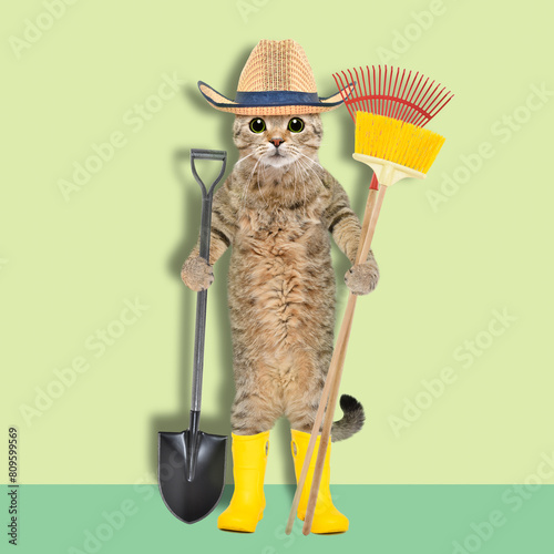 Cat in a straw hat and rubber boots standing with a garden tool in his hands