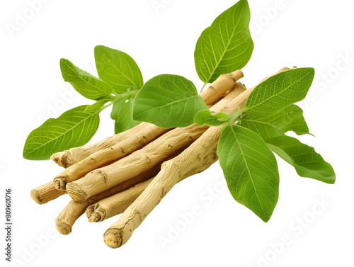 Ashwagandha Roots and Leaves on White Background Highlighting Ayurvedic Medicinal Herb
