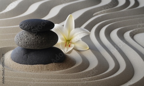 Spa salon zen garden with sand stones and tender white flower