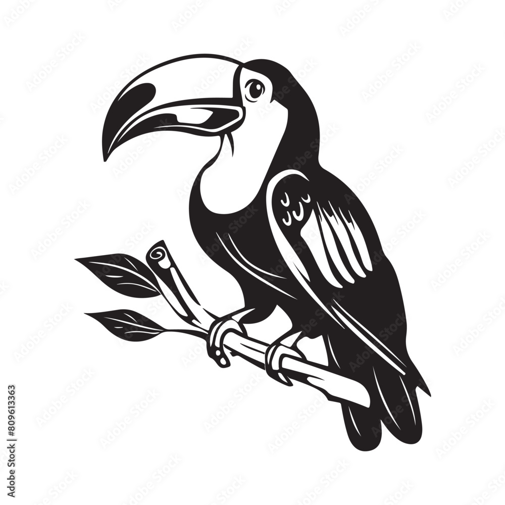 Toucan image vector. Toucan bird on branch on white background Toucan image vector. Toucan bird on branch on white background