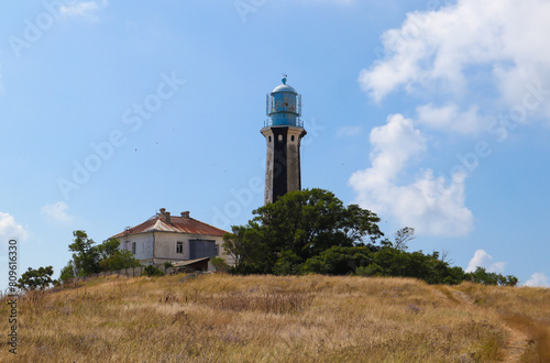 Lighthouse surrounded by trees against the sky
