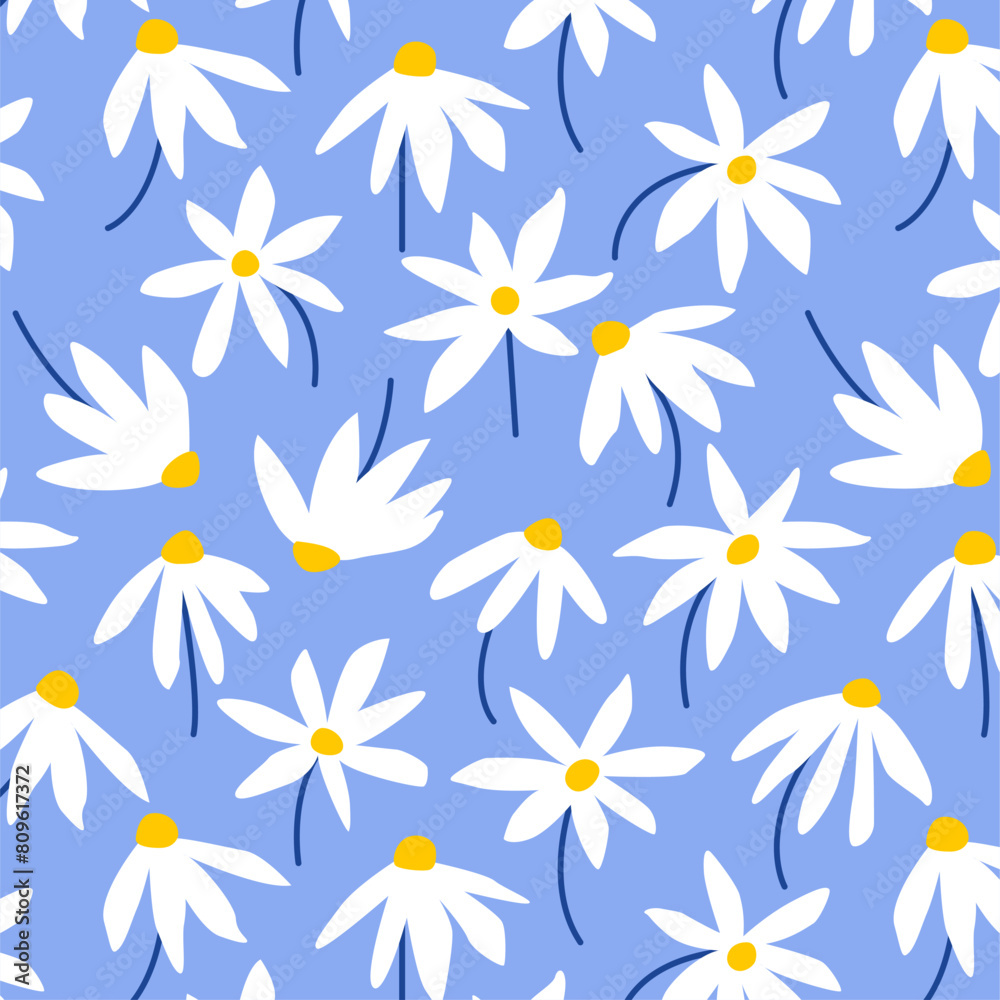Flawless White Aster Flower Patterns on Blue Background Serene Elegance