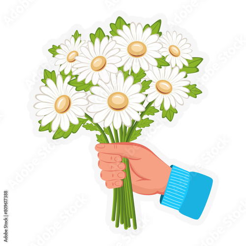 Chamomile. A bouquet of daisies in hand. Flowers for loved ones. Flower delivery. Summer field flowers. Vector. Illustration used for holiday and for greetings, print, stickers, for web design. 