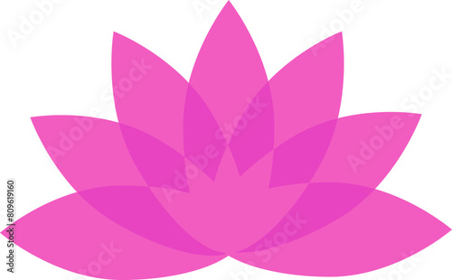 연꽃