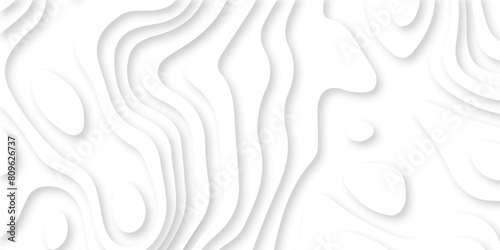 Abstract white paper cut background with lines. Background of the topographic map. White wave paper curved reliefs abstract background. Realistic papercut decoration textured with wavy layers.